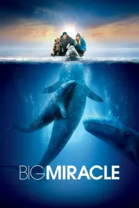 Büyük Mucize izle