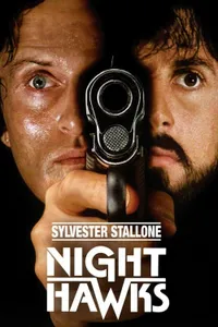 Gece Şahini izle