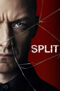 Parçalanmış izle