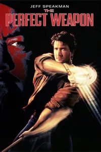 The Perfect Weapon izle