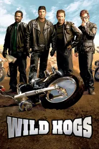 Çılgın Motorcular izle